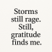 An abstract visual of a storm with the text overlay: 'Storms still rage. Still, gratitude finds me,' conveying resilience and reflection.