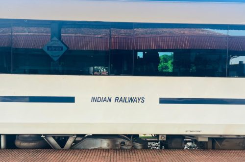 Person on a crowded Indian Railways platform, wearing sunglasses, looking anxious and overwhelmed by germs and chaos.”