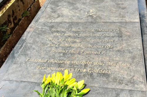 Daughter sitting at her mother’s resting place, brushing off dust, with sunlight falling through leaves.